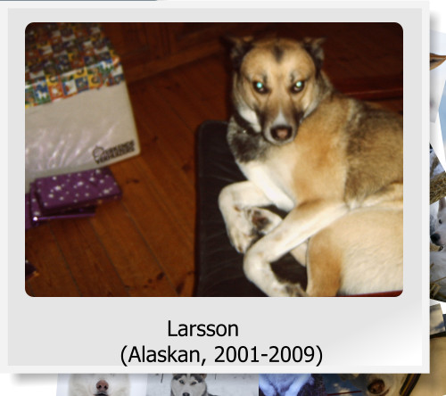 Larsson (Alaskan, 2001-2009)