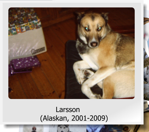 Larsson (Alaskan, 2001-2009)