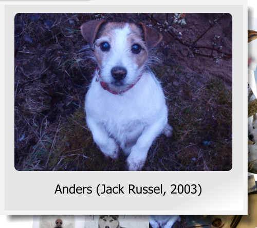 Anders (Jack Russel, 2003)