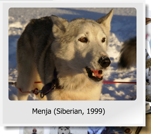 Menja (Siberian, 1999)